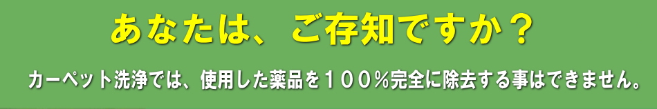 画像の説明