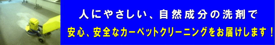 安心、安全なカーペットクリーニング